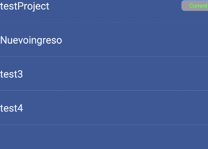 Project List